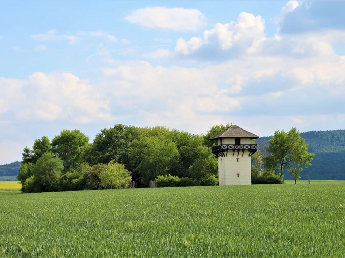 Landesgrenze - Adolfseck