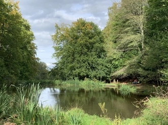 Nesselbachteiche