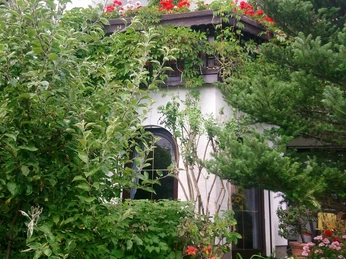 Gebäudeansicht/Sommer