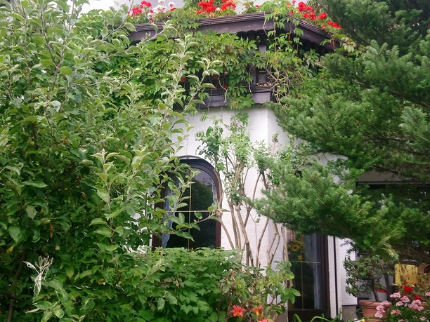 Gebäudeansicht/Sommer