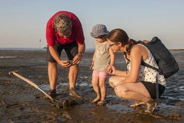 Familien-Wattwanderung Nordseebad Otterndorf