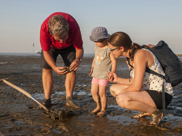 Familien-Wattwanderung Nordseebad Otterndorf