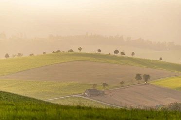 Landschaft im Abendlicht