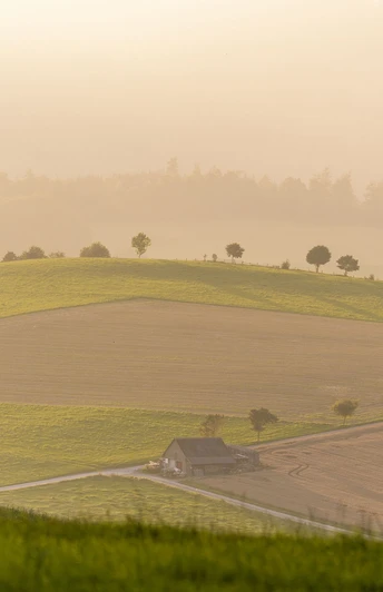 Landschaft im Abendlicht