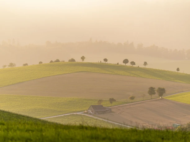 Landschaft im Abendlicht