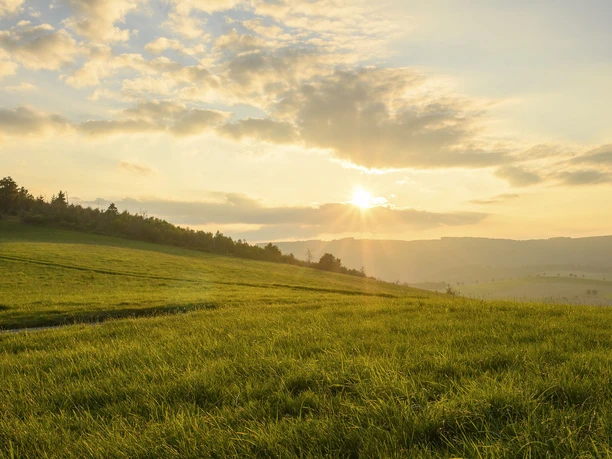 Landschaft im Abendlicht