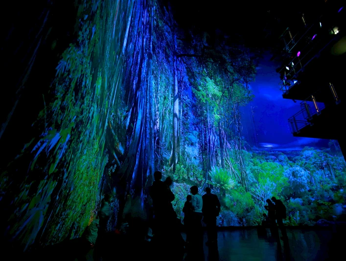 20160416_5_amazonia_by_night_c_asisi.2000x0.jpg Bunte, leuchtende Projektion eines Regenwaldes in einem dunklen Raum, Menschen betrachten die Szenerie.Colorful, luminous projection of a rainforest in a dark room, people watching the scenery.Barevná, světelná projekce deštného pralesa v tmavé místnosti, lidé se dívají na scenérii.Kolorowa, świetlista projekcja lasu deszczowego w ciemnym pomieszczeniu, ludzie przyglądający się scenerii.Kleurrijke, lichtgevende projectie van een regenwoud in een donkere kamer, mensen kijken naar het landschap.Proiezione colorata e luminosa di una foresta pluviale in una stanza buia, con persone che guardano il paesaggio.