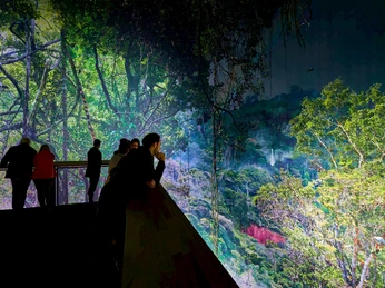 20171117_amazonien_hannover_eoe_pk_cw_0417.2000x0.jpg Besucher betrachten eine beeindruckende Regenwald-Projektion in einem dunklen Ausstellungsraum.Visitors view an impressive rainforest projection in a dark exhibition room.Návštěvníci si v tmavé výstavní místnosti prohlédnou působivou projekci deštného pralesa.Odwiedzający oglądają imponującą projekcję lasu deszczowego w ciemnej sali wystawowej.Bezoekers bekijken een indrukwekkende regenwoudprojectie in een donkere tentoonstellingsruimte.I visitatori assistono alla proiezione di un'impressionante foresta pluviale in una sala espositiva buia.