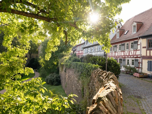 Höchst mit Schloss und Altstadt