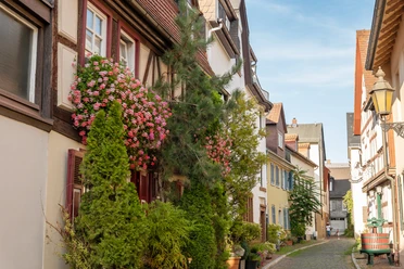 Höchst with castle and old town