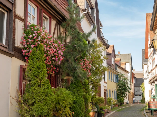 Höchst with castle and old town Höchst with castle and old town