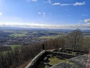 Blick von der Burgruine Heiligenberg (Winter)