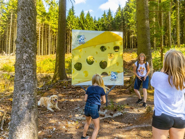 Zapfenwurf an der Käsewand am Milch-Erlebnispfad Usseln
