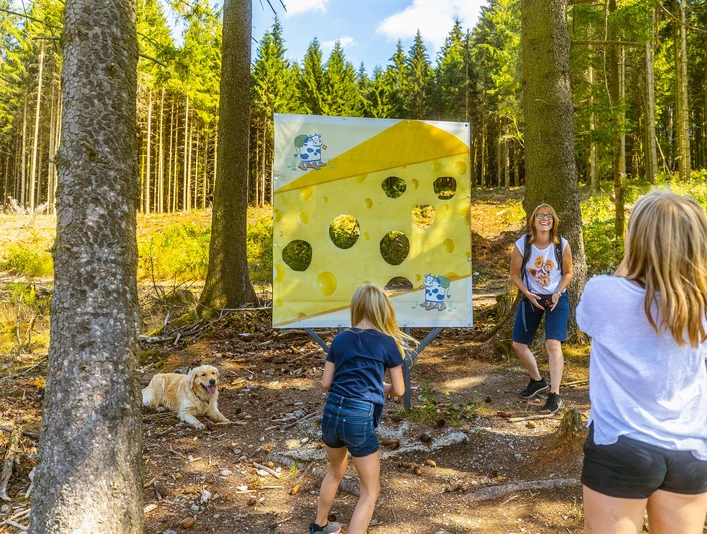 Zapfenwurf an der Käsewand am Milch-Erlebnispfad Usseln
