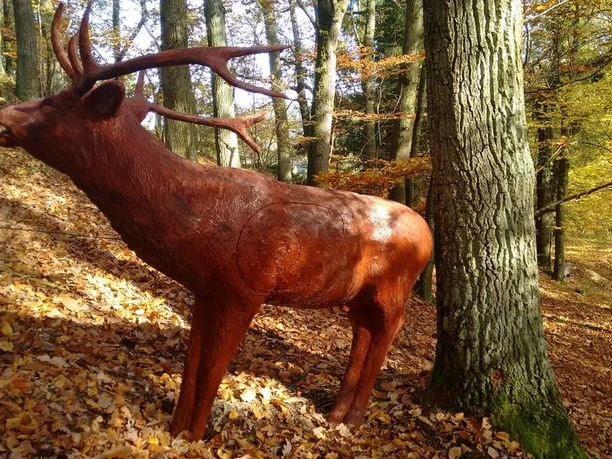 Bogenparcours Marsberg