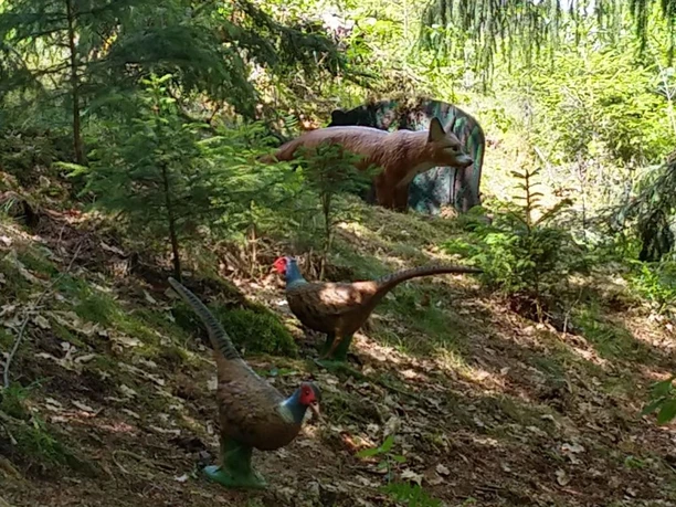 Bogenparcours Marsberg