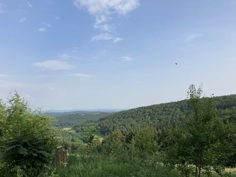 Ausblick am Wanderweg U1