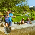 Familie am Tretbecken an der Diemelquelle