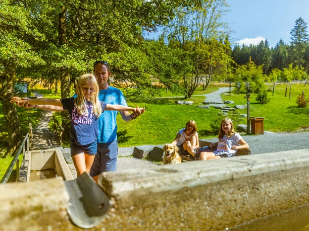 Familie am Tretbecken an der Diemelquelle