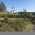 Heidepfad am Wanderweg U3 in Willingen-Usseln