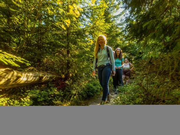 Wandergruppe im Wald