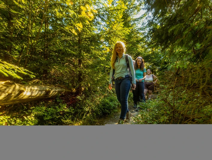 Wandergruppe im Wald