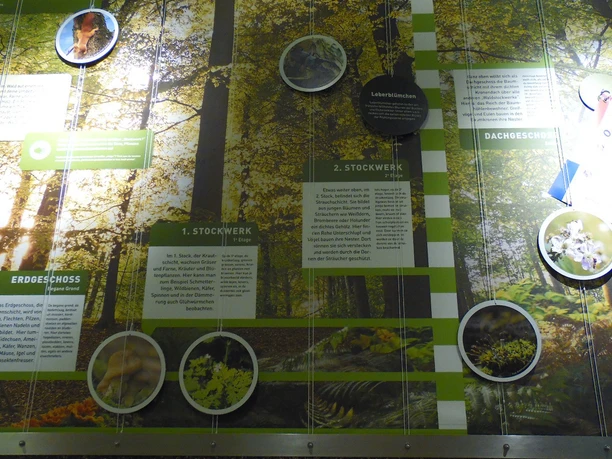 Naturparkzentrum Visonarium Diemelsee