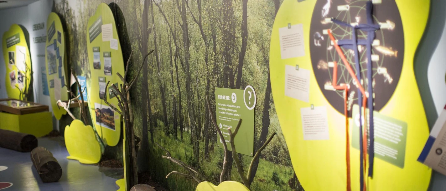Interaktive Erlebnisausstellung