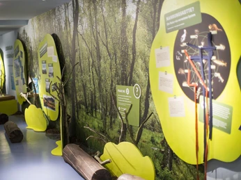 Interaktive Erlebnisausstellung