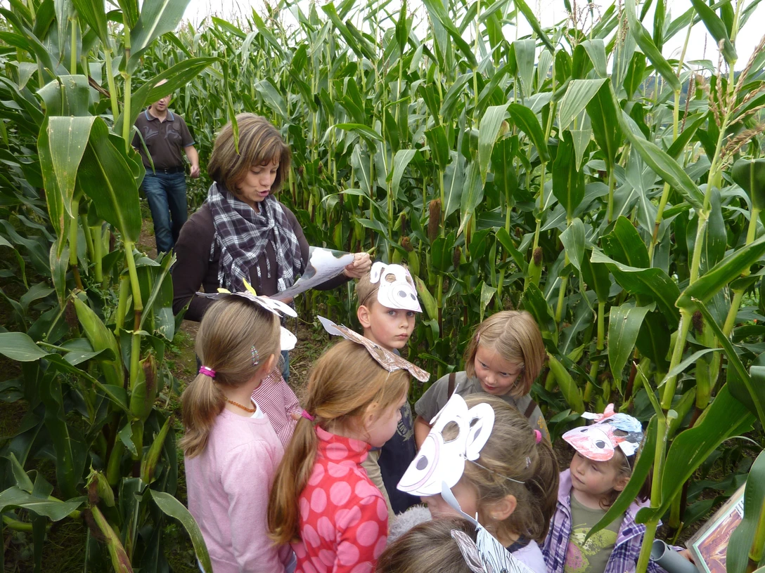 Ottonenhof Maislabyrinth