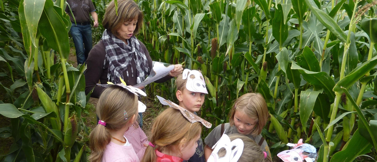 Ottonenhof Maislabyrinth
