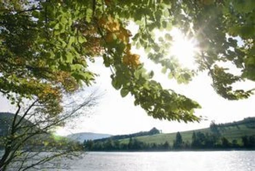 Naturschutzgebiet Diemelsee