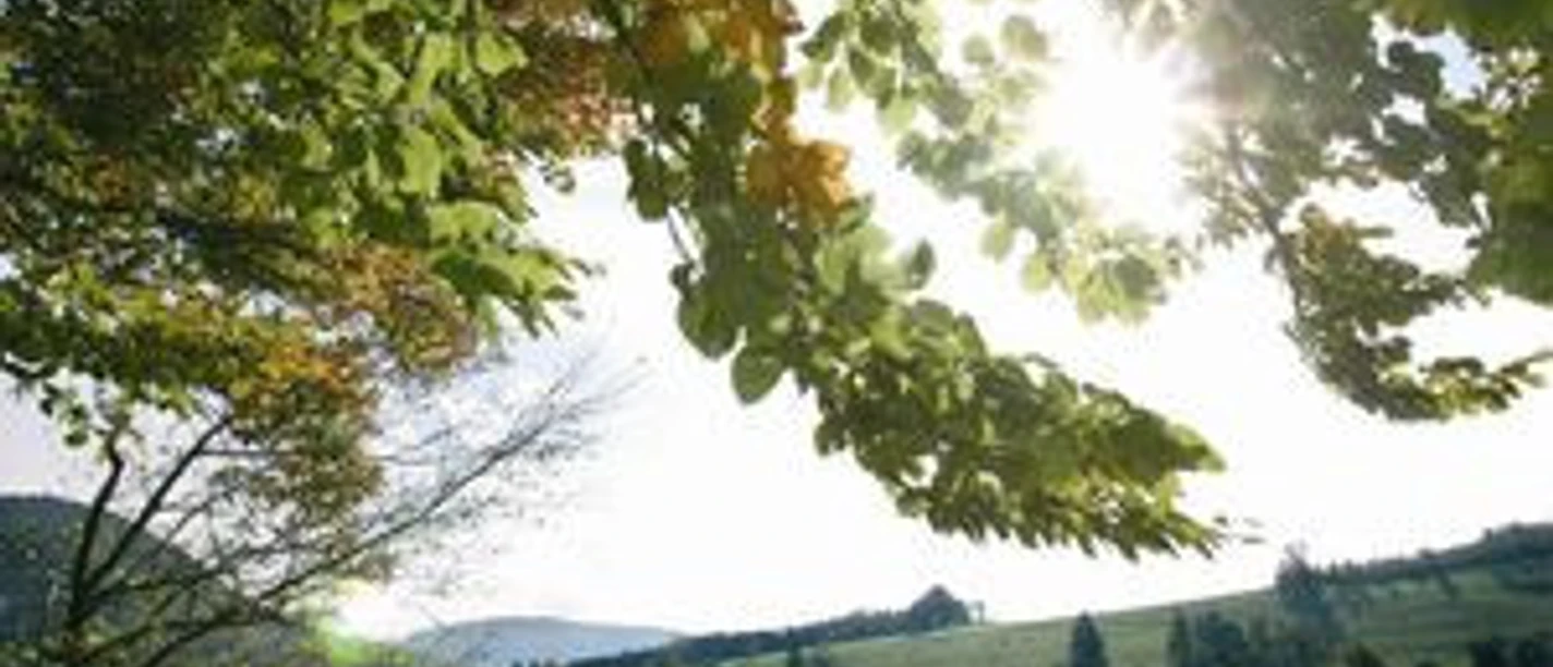 Naturschutzgebiet Diemelsee