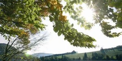 Naturschutzgebiet Diemelsee