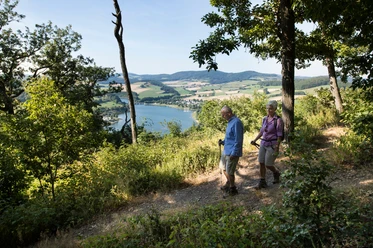 Diemelsteig