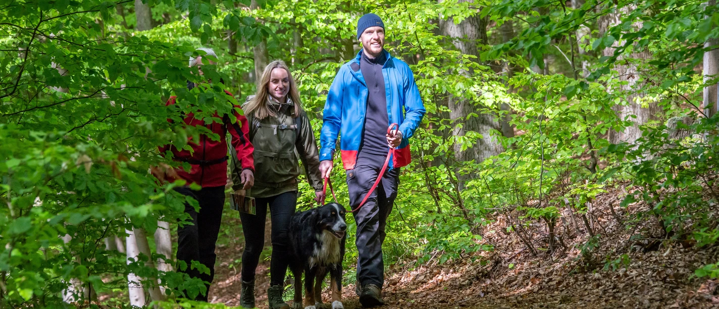 Rundwanderweg Diemelsee Wirmighausen