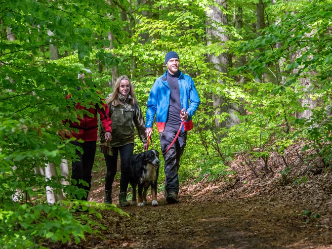 Rundwanderweg Diemelsee Wirmighausen