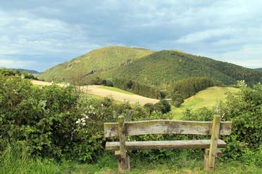 Stormbrucher Wanderweg