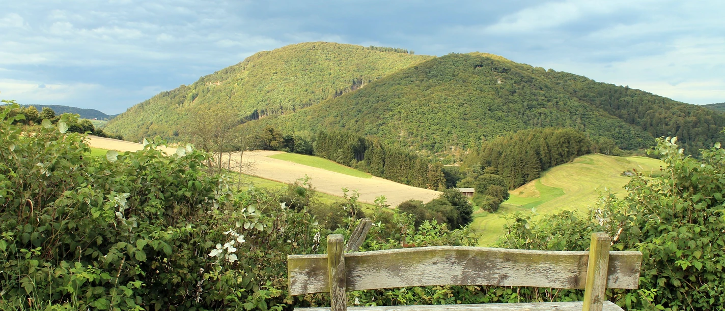 Stormbrucher Wanderweg