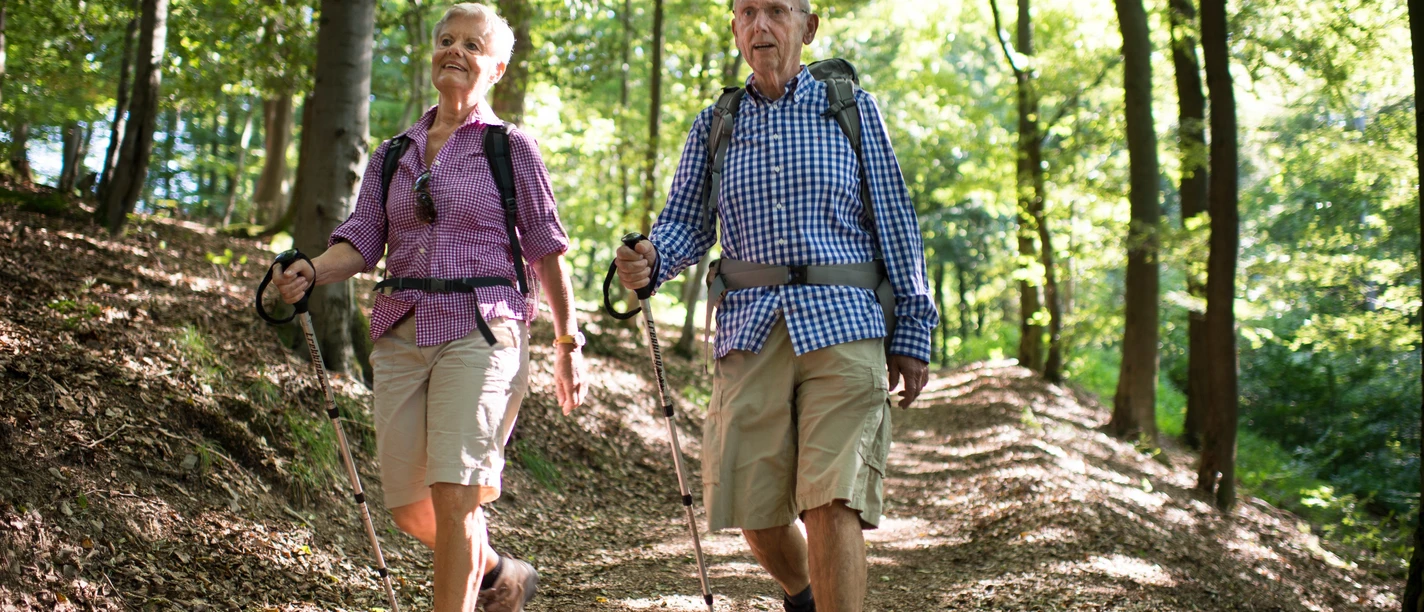 Wandern Richtung Rhenequelle in Diemelsee-Schweinsbühl