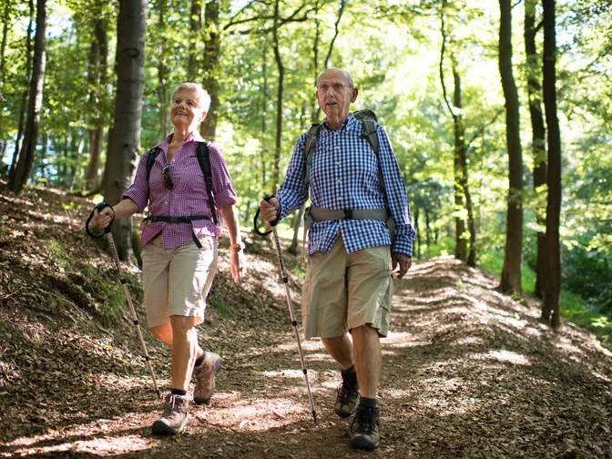 Wandern Richtung Rhenequelle in Diemelsee-Schweinsbühl