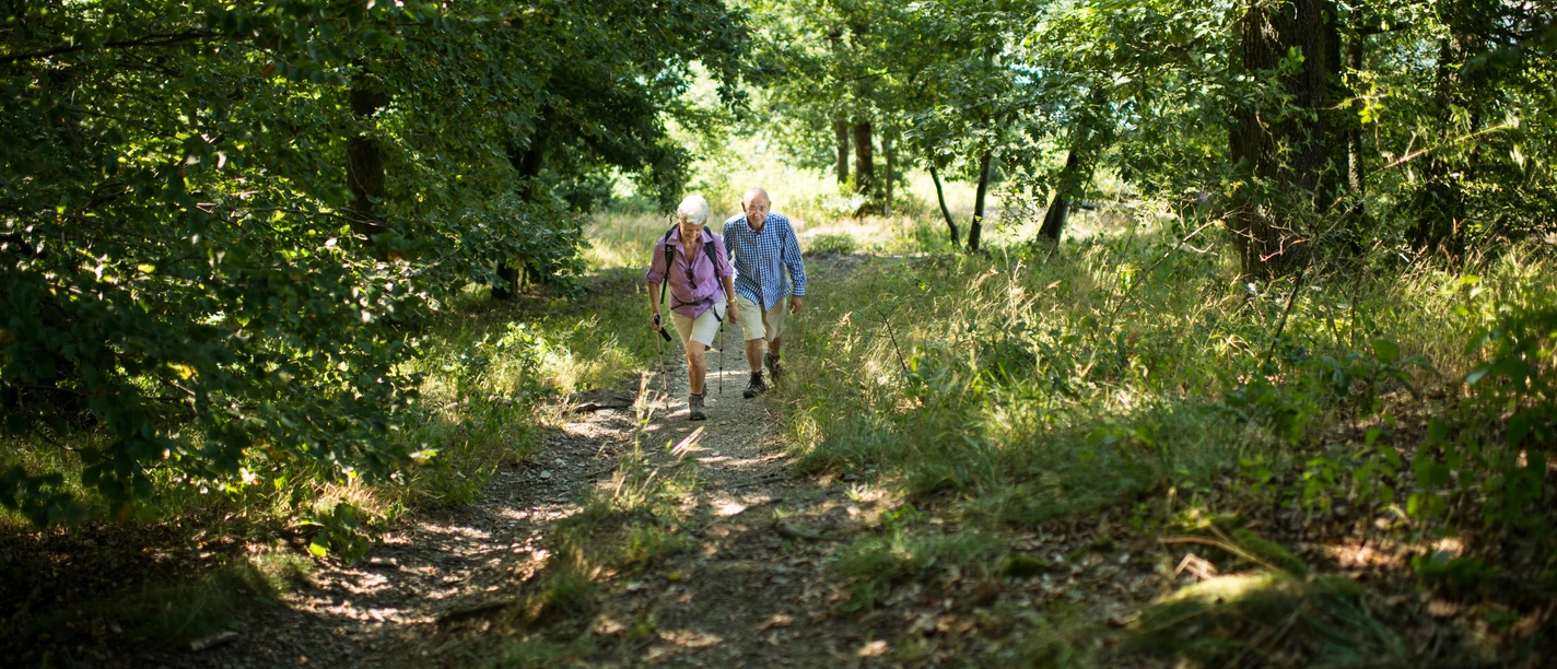 Wanderung bei Diemelsee Ottlar