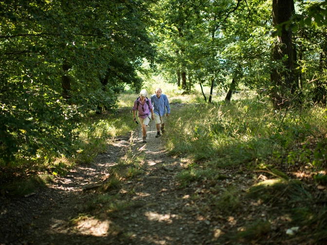 Wanderung bei Diemelsee Ottlar