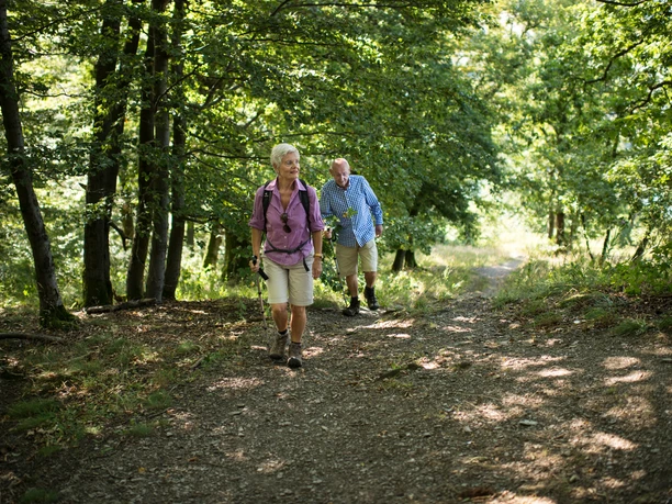 Wanderung Diemelsee - H2