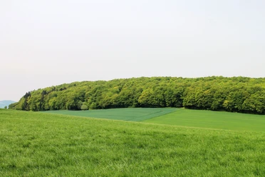 Wandern bei Benkhausen