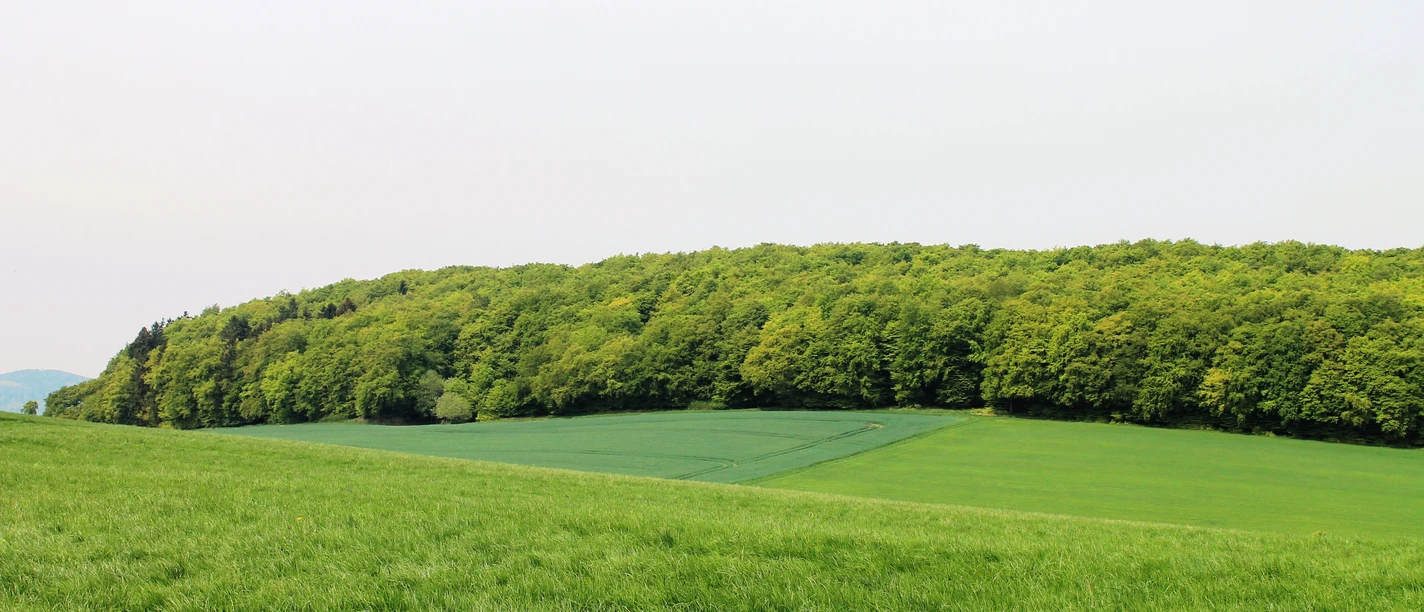 Wandern bei Benkhausen