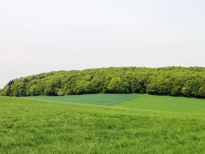Wandern bei Benkhausen