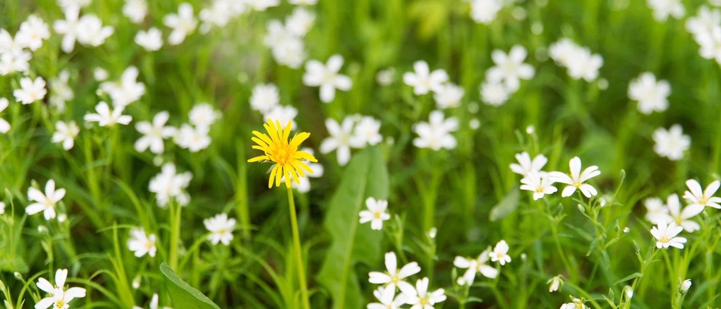 Wanderung Benkhausen