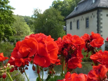 Gräfte Schloss Körtlinghausen Gräfte Schloss Körtlinghausen
