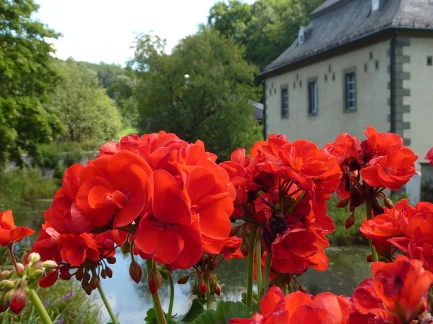 Gräfte Schloss Körtlinghausen Gräfte Schloss Körtlinghausen